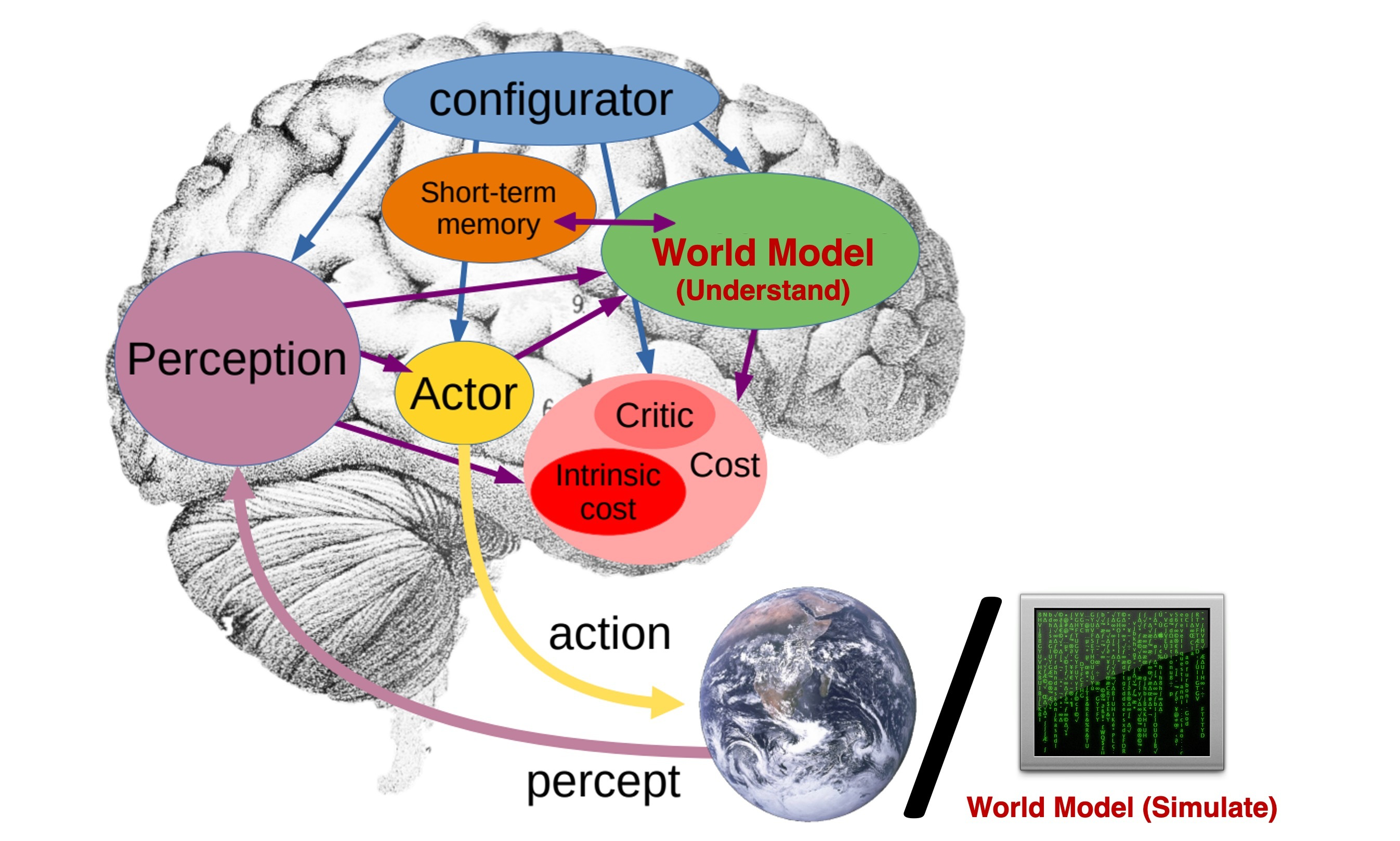 internal & external world model